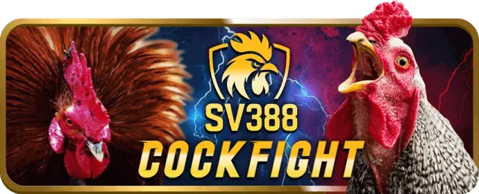 Minh họa phần Câu hỏi thường gặp của nbet88 casino